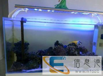 专业承接定做饭店鱼缸专业定做鱼缸专业定做海鲜池