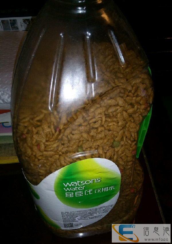 6个月以上猫咪猫粮