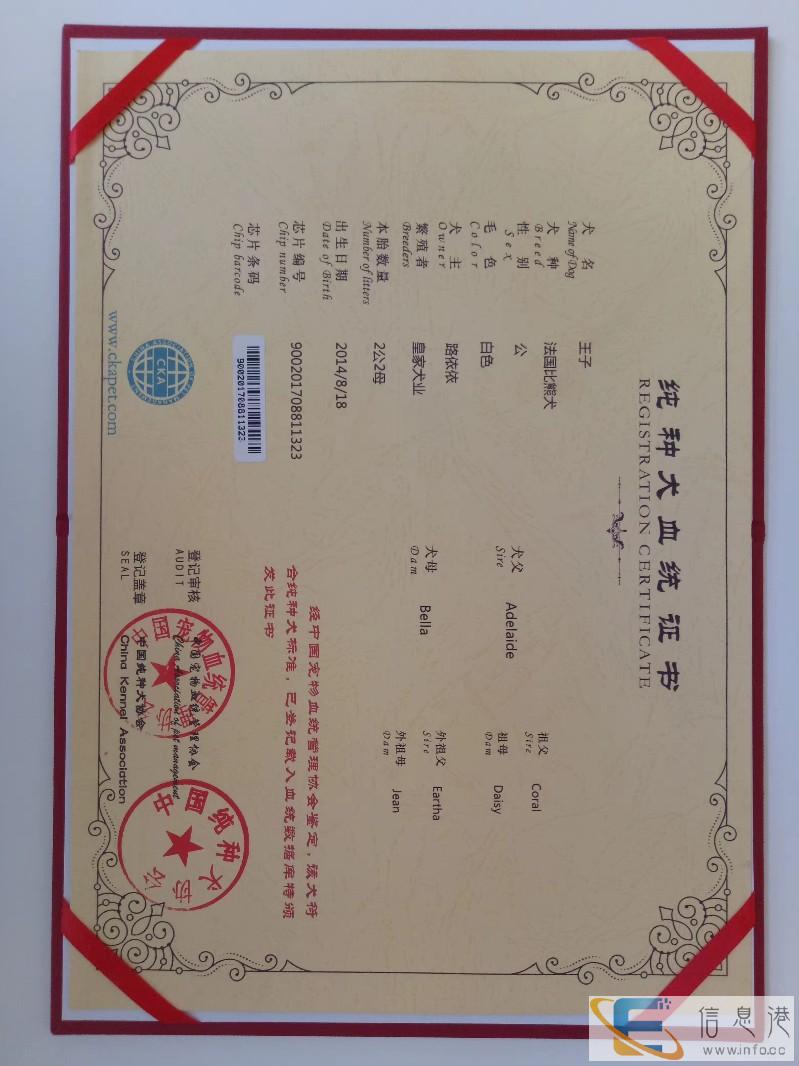办理狗狗证书