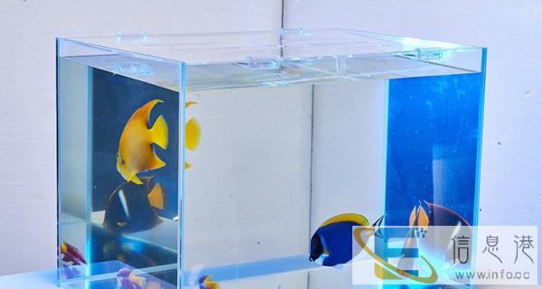 方形玻璃鱼缸,金鱼钢化水族箱,可按要求私人定制各尺寸鱼缸