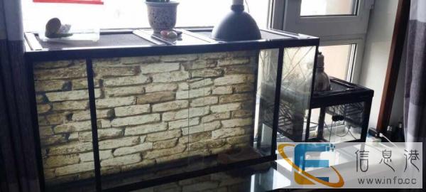 1米玻璃爬箱.龟箱