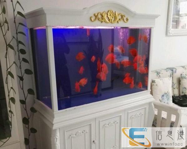 8成新 纯实木 鱼缸 3000元