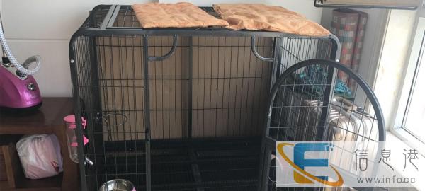 全新大狗笼子价格300，送全套