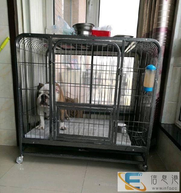几乎全新犬笼，一米一长，八十宽