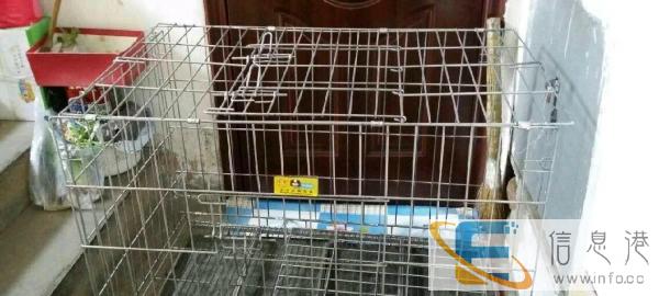健康狗狗用笼子转让自取长九十五宽六十五