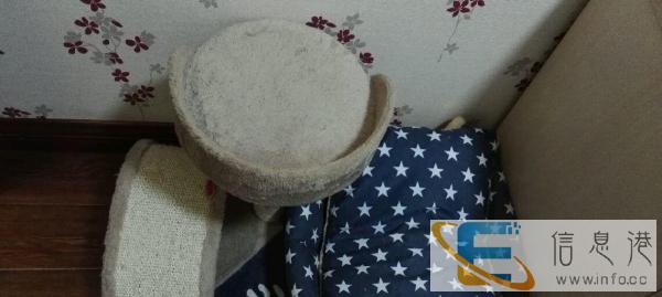 猫笼子 猫背包 猫窝 猫抓板