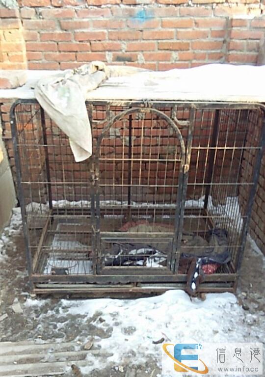 本人出售闲置钢筋铁网狗笼子