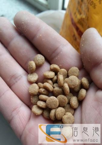 40斤狗粮140转让