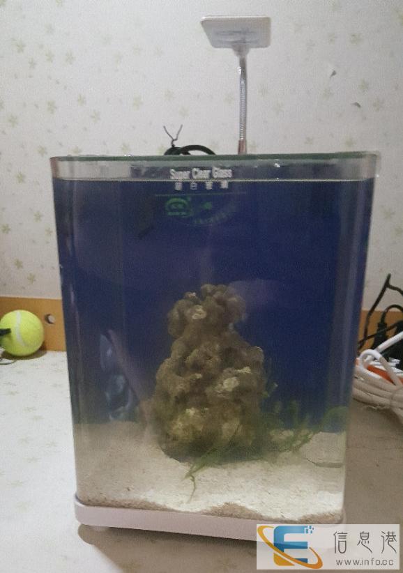 出售全套背滤鱼缸