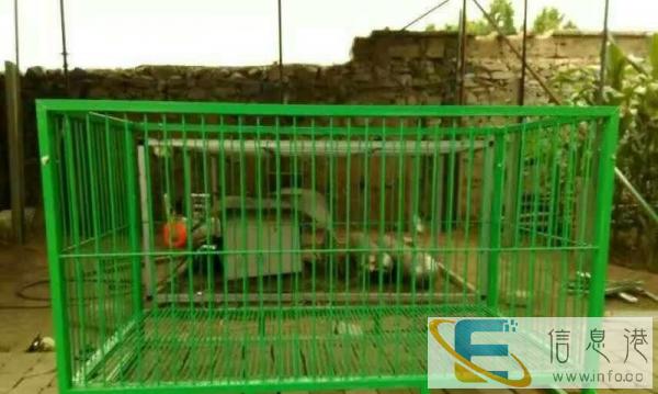 加工出售狗笼