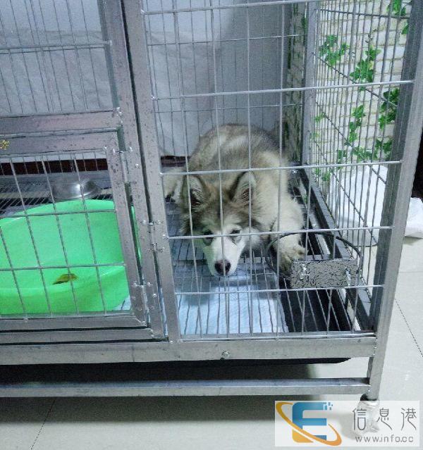 低价转让，有意者联系