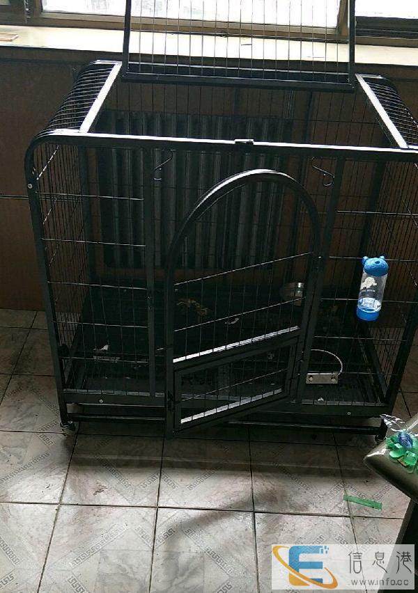 全新1.1米大型犬笼子