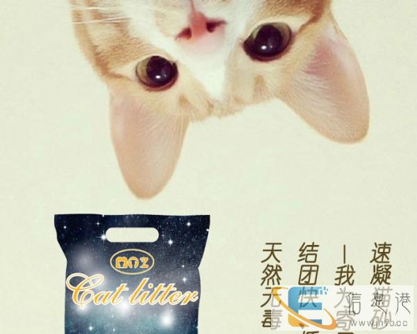厂家直销速凝猫砂可批发零售 支持一件代发 无锡地区可送货上门