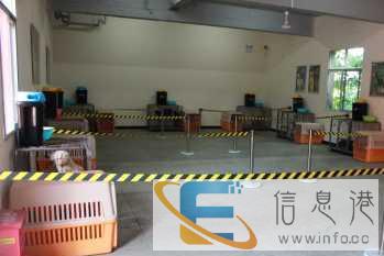 海南训犬培训哪里好-如何训练狗狗-派多格寄训中心