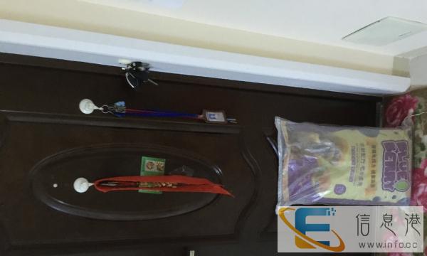 全新20斤狗粮原价145,现价70元