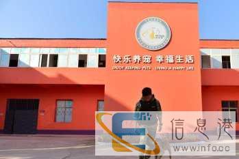 海南训犬学校-三亚训犬学校-派多格寄训中心