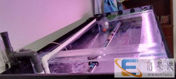 低价转让5面超白龙鱼缸