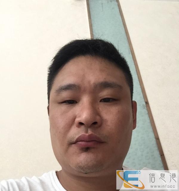 临时电工布网络线