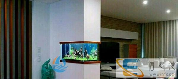 承 接 全 新 鱼 缸 定 做