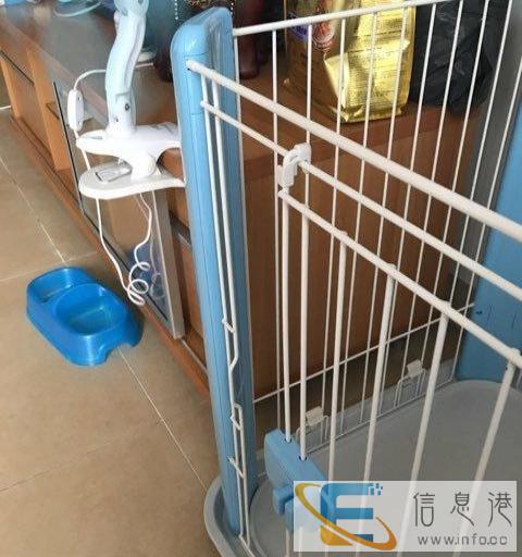 99新的狗笼转让