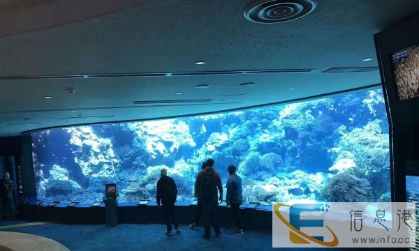 专业制作海鲜鱼池，大型观赏鱼缸