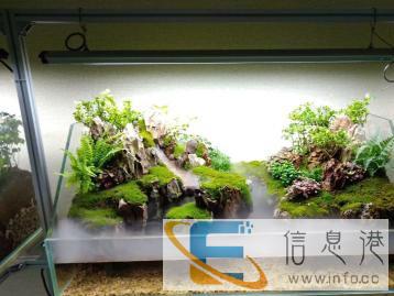 鱼缸造景设计定制，价格面议