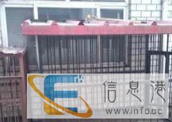 9成新狗用品价格面议