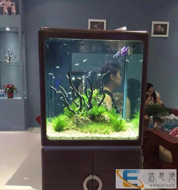 爱上水族只要七秒