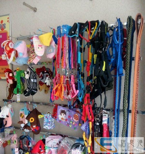 宠物美容，洗澡，狗粮，猫粮，疫苗，用品，玩具，衣服