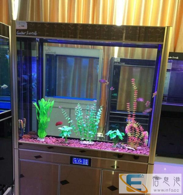 商洛水族箱出货 厂家直接出手