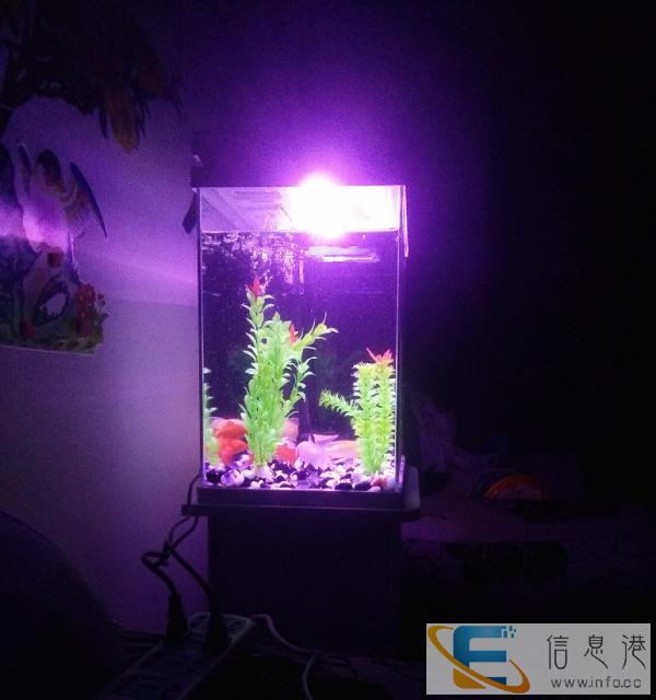 新品鱼缸超白鱼缸水族箱