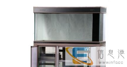 专业生态超白底滤,彩蝶鱼缸宿迁总代理,金龙红龙鱼缸