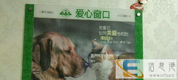 益生菌猫咪专用奶粉