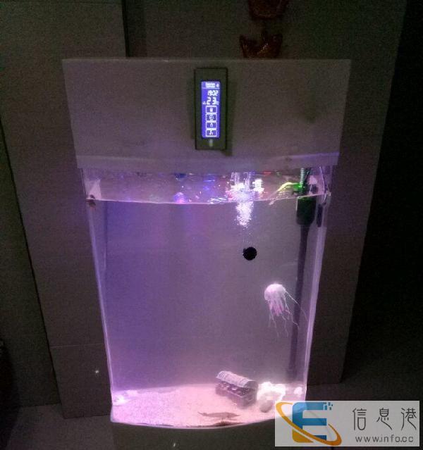 便宜处理鱼缸泗阳的鱼缸