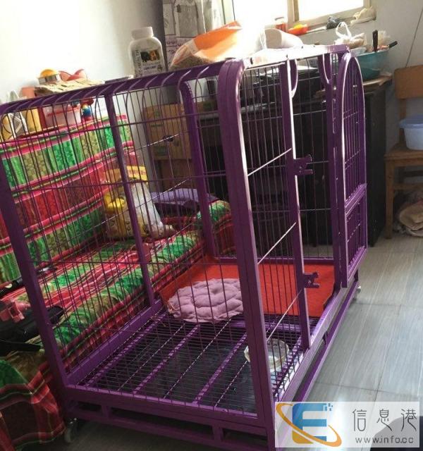 大狗笼子低价转让，适合大狗