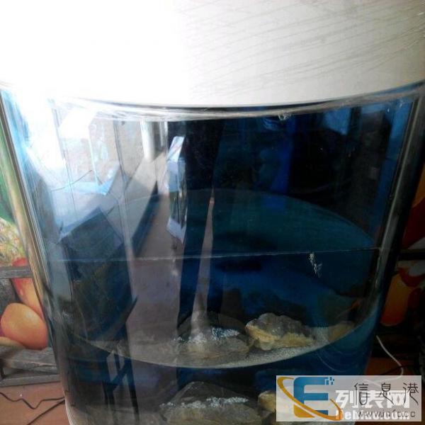 鱼缸水草缸水陆两栖缸