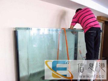 清洗鱼缸鱼缸清洗观赏鱼维护租摆鱼病治疗鱼缸 清洗鱼缸鱼缸清洗观赏鱼维护租摆鱼病治疗鱼缸