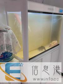 韩国NINESTAR金晶超白鱼缸低价转让