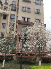 月休四天，工资6000