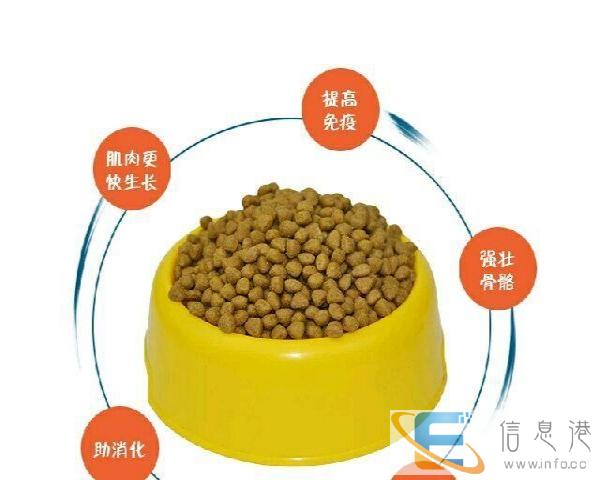 金滋成犬20公斤装狗粮特惠价