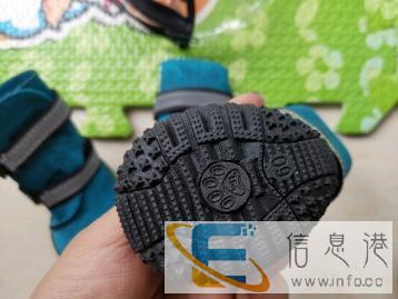 宠物狗鞋全新急转有缘人
