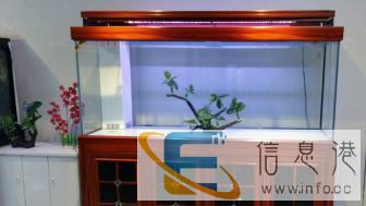 太原厂家定制鱼缸，销售，售后清洗维修一条龙