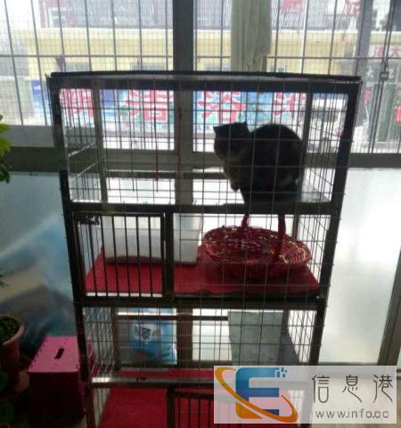 二手猫笼优惠出售