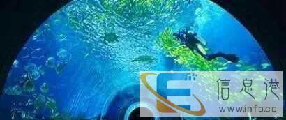 上海淼深水族厂家直销专业定做海鲜缸大型亚克力鱼缸