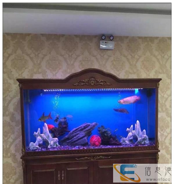 泰州嵌墙式会所鱼缸定做欧式实木鱼缸 高端花梨木红木鱼缸定做