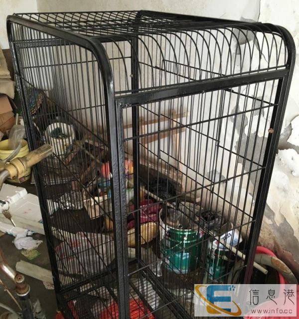 超大宠物笼子转让