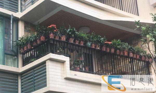 请汕尾月嫂，工作地点佛山三水区