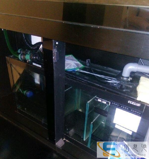 可丽爱大鱼缸半价转让啦