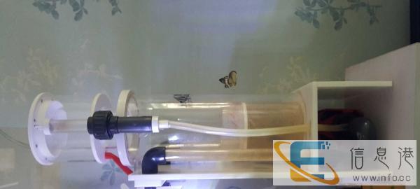 95成新其他宠物用品价格面议