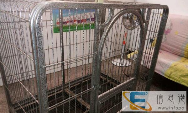 本人转让宠物用品家具 有意者请联系我